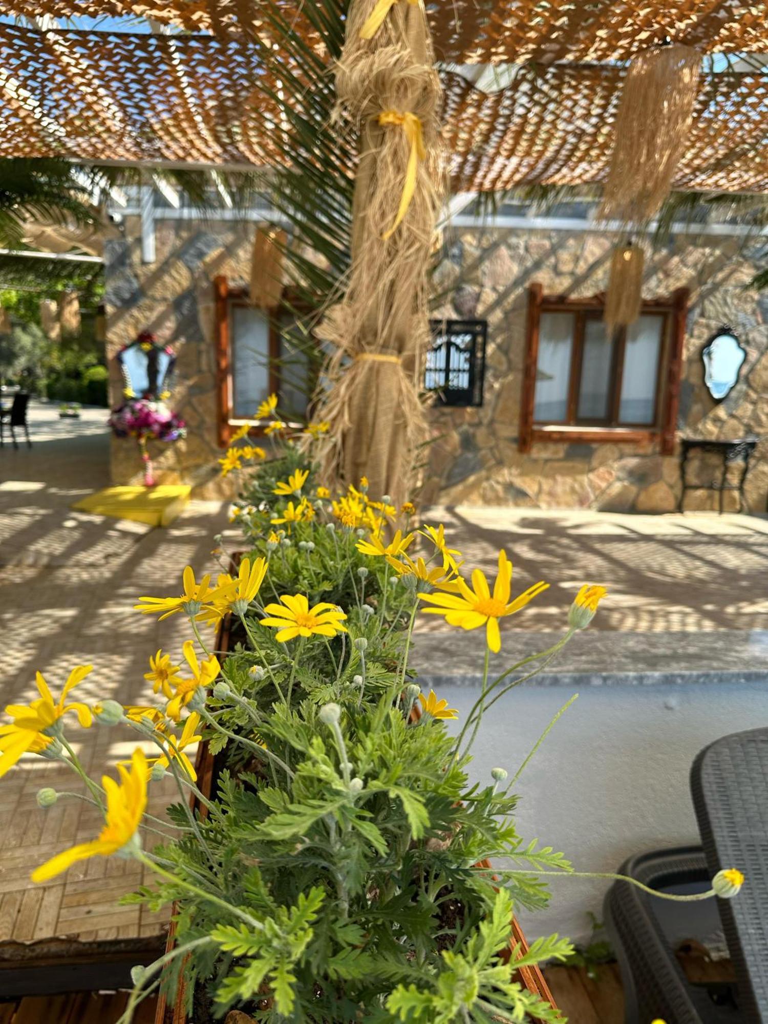 Kervan Tatil Koeyue Edremit  Buitenkant foto